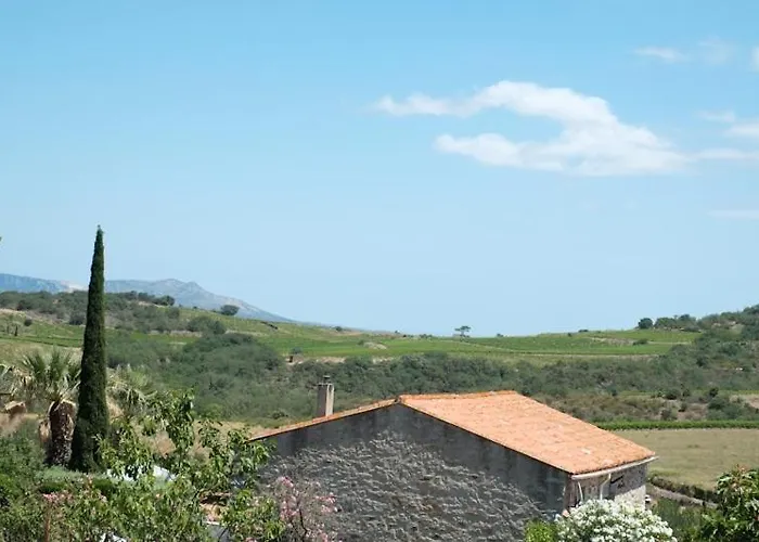 Charmante Maison De Village Dans Les Fenouilledes Σπίτι διακοπών